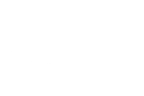 Disc Golf Challenge